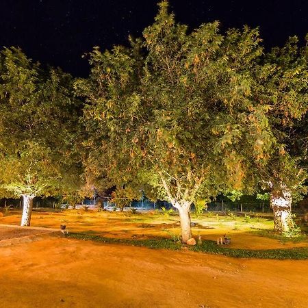 Forestville Yala Exterior foto