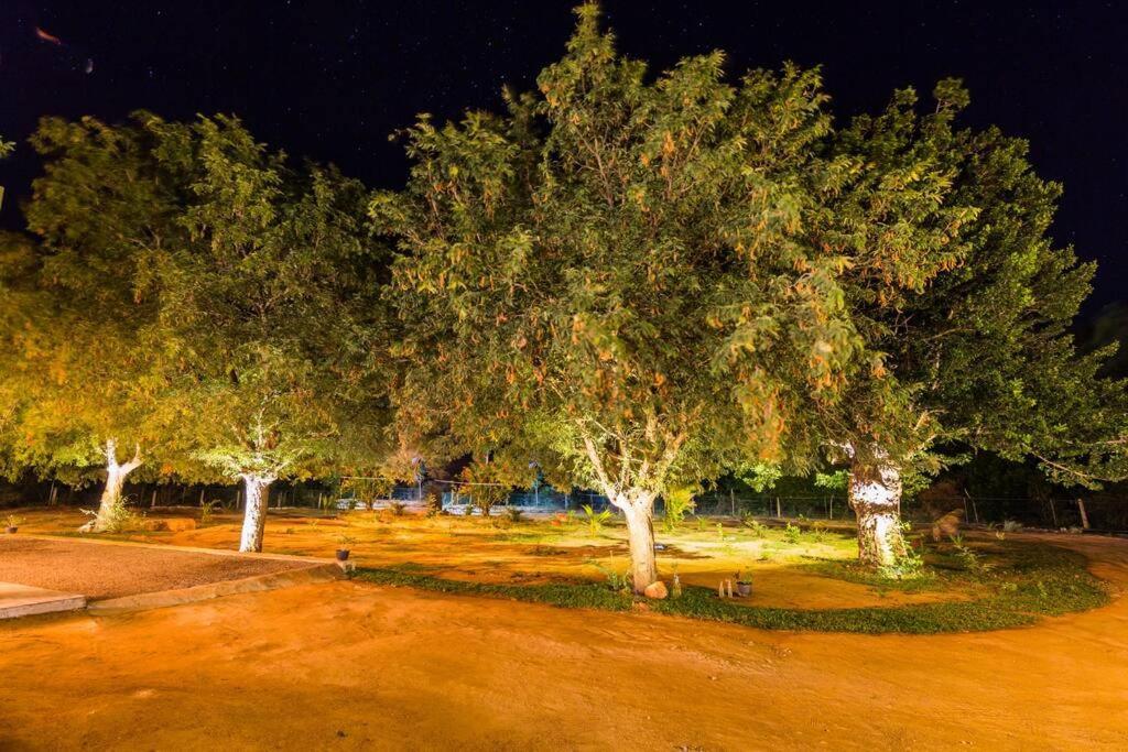 Forestville Yala Exterior foto