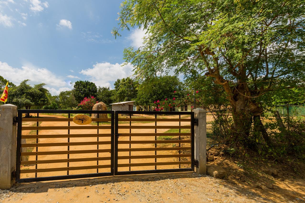 Forestville Yala Exterior foto