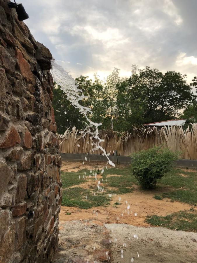 Forestville Yala Exterior foto