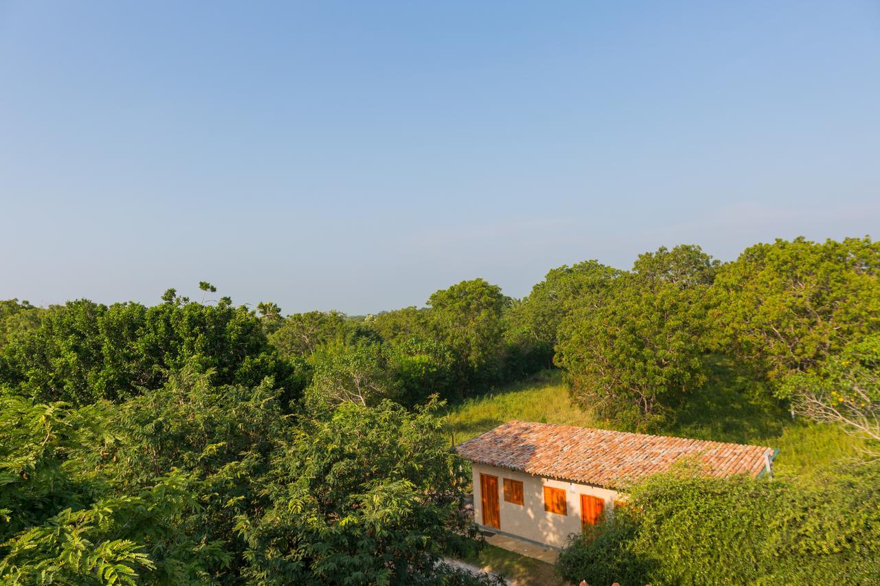 Forestville Yala Exterior foto